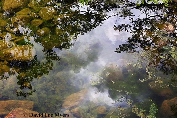 Reflected and submerged layers, Wilson Creek, Douthat State Park, Blue Ridge Mountains, Virginia.